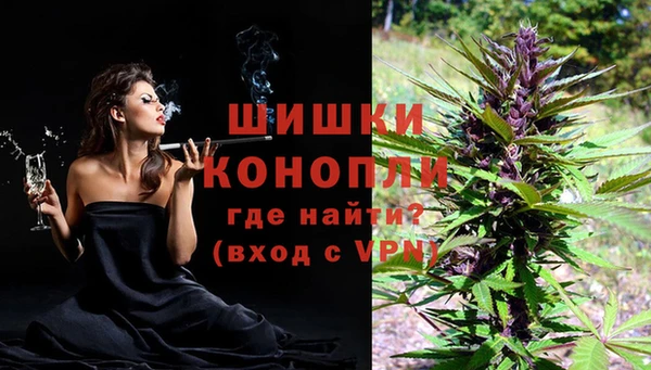 мяу мяу мука Новозыбков