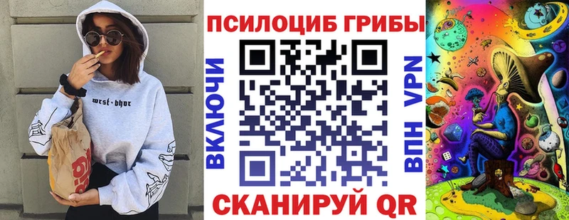 Псилоцибиновые грибы MAGIC MUSHROOMS  Купить закладки  Новошахтинск 